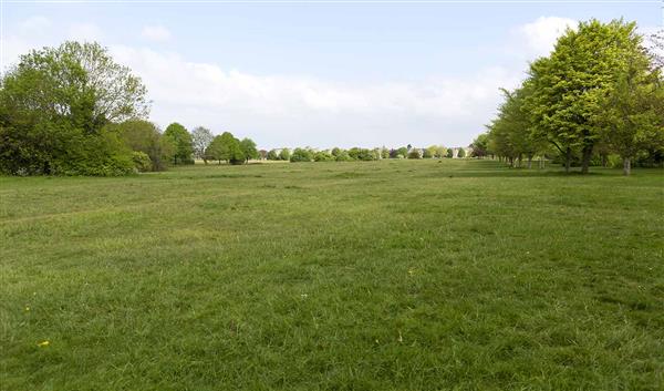 Bristol Natur Clifton Down