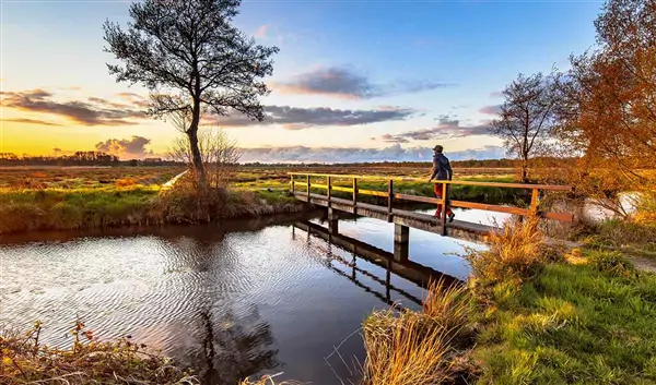 Groningen Nature Groningen Countryside