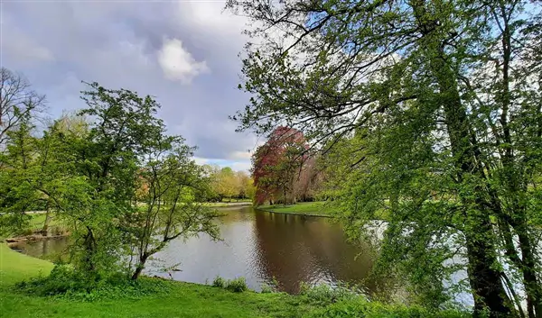 Groningen Nature Noorderplantsoen