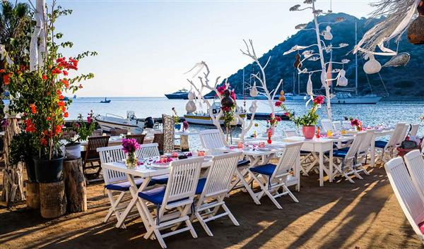 Bodrum Gastronomi Fisk og skaldyr