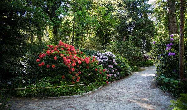 München Natur Der Münchner Botanische Garten