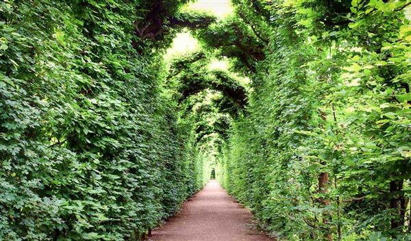 Wien Natur Schlosspark Schönbrunn