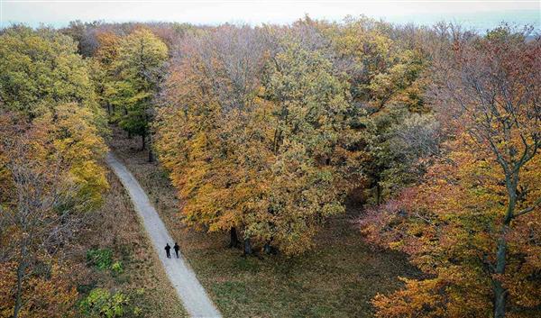 Wien Natur Lainzer Tiergarten