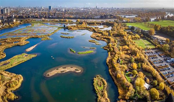 London Natur London Wetland Centre