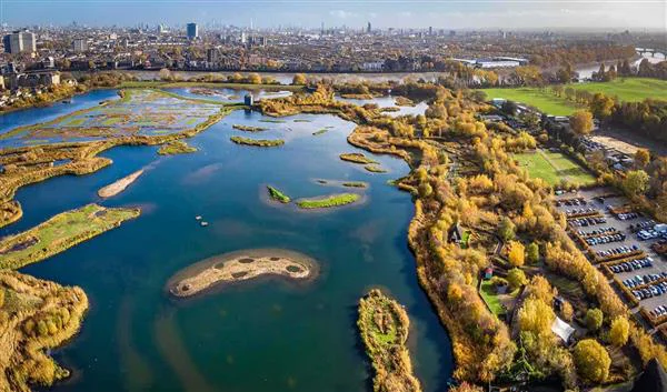 London Nature London Wetland Center