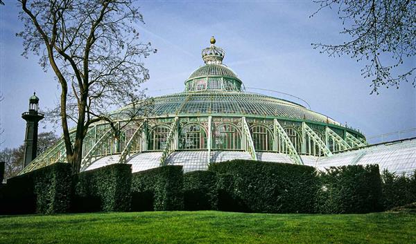 Brüssel Natur Meise Botanischer Garten