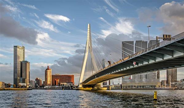 Rotterdam Kultur Die Erasmusbrücke