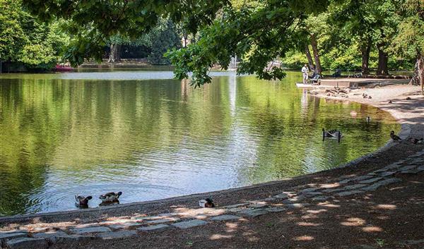 Köln-Bonn Natur Arboretum