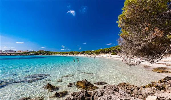 Palma De Mallorca Beach Cala Agulla