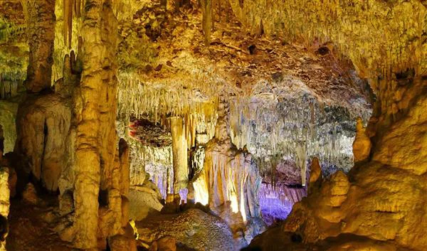 Palma De Mallorca Nature The Caves of Drach and Dels Hams