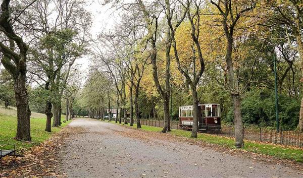 Manchester Natur Heaton Park
