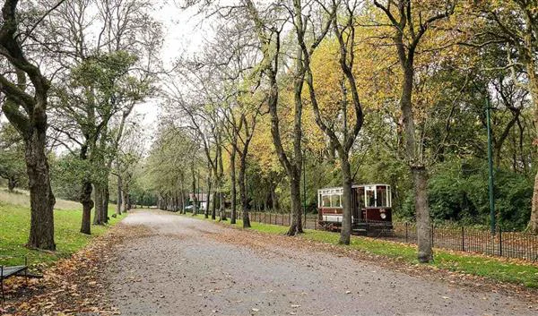 Manchester Nature Heaton Park