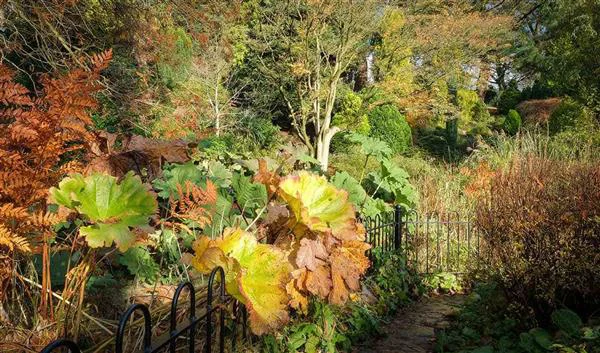 Manchester Nature Fletcher Moss Botanical Gardens