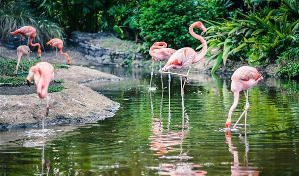 Fuerteventura Natur Oasis Park