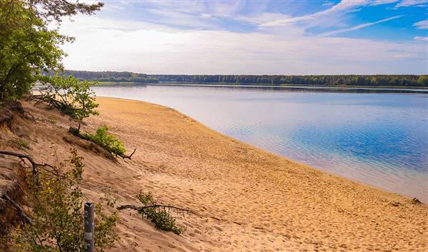 Frankfurt am Main Beach The Langener Waldsee 
