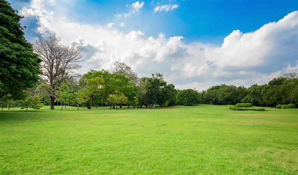 Frankfurt am Main Natur Grüngürtel 