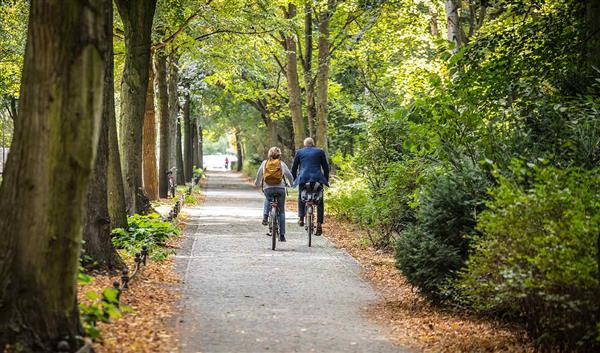 Berlin Natur Tiergarten Park