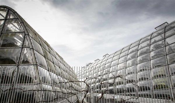 Graz Natur Graz Botanical Gardens at the institute of Botany