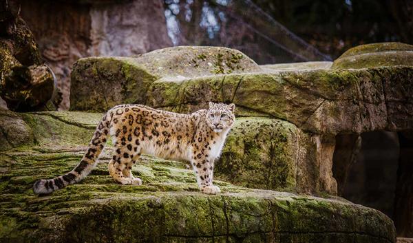 Basel Natur Basel Zoo