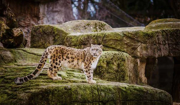 Basel Nature Basel Zoo