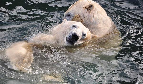 Bremen Natur Zoo am Meer: 