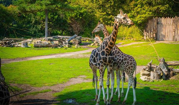 Leipzig Natur Leipzig Zoo 