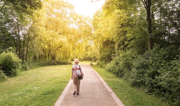 Münster Natur Bürgerpark