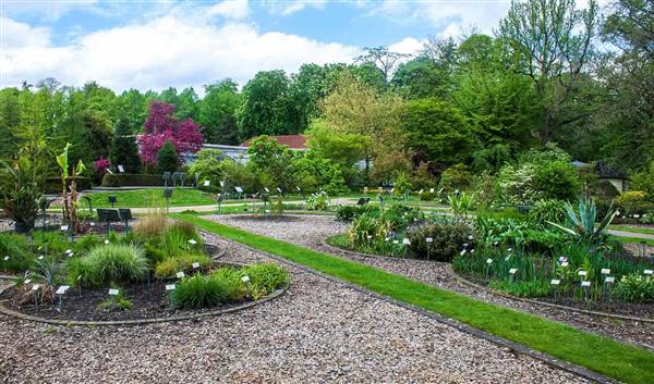 Münster Natur Botanischer Garten Münster