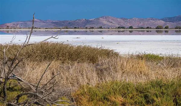 Kos Nature Salt lake Alikes