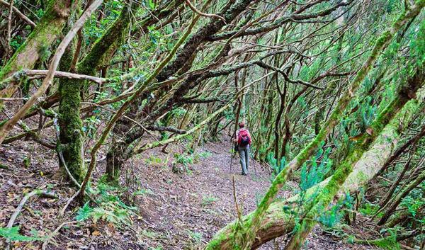 Teneriffa Natur Parque Rural de Anaga