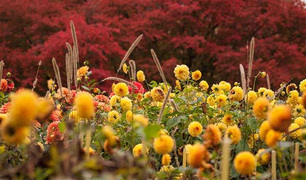 Erfurt Natur Egapark Erfurt
