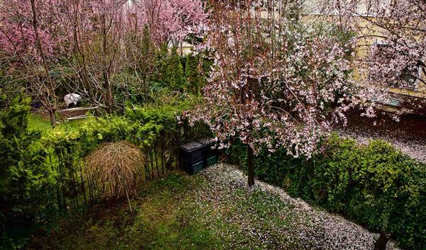 Ankara Natur Atatürk-Waldfarm