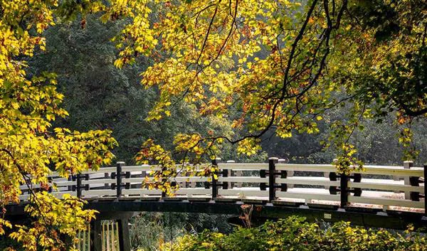 Amsterdam Natuur Amsterdamse Bos