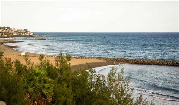 Las Palmas Beach Playa del Inglés