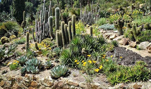 Las Palmas Natur El Jardin Canario