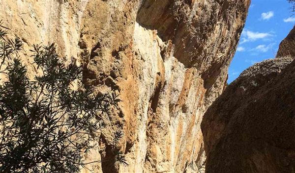 Kreta Natur Samaria Schlucht 