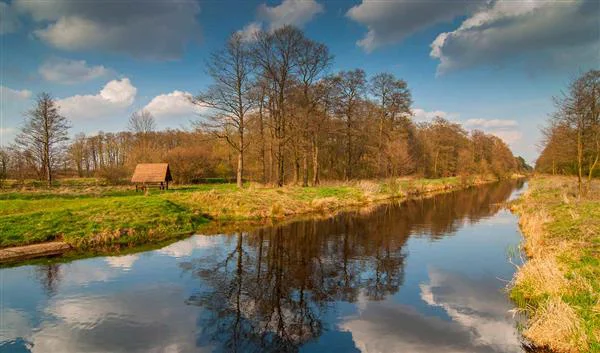 Warsaw Nature Kampinoski National Park