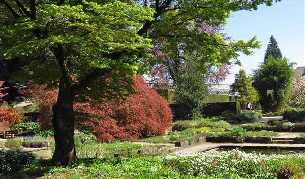 Linz Natur Botanischer Garten