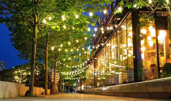 Bucharest Night Life Nightlife