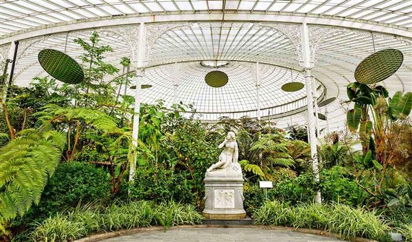 Glasgow Doğa Glasgow Botanik Bahçeleri & Kibble Sarayı 