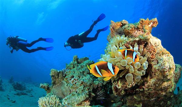 Marsa Alam Natur Shaab Marsa Alam