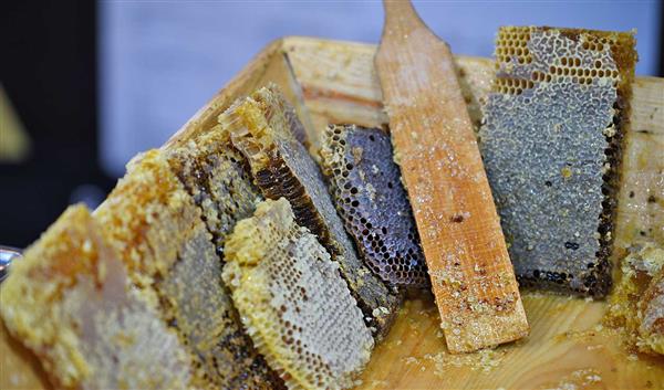 Samsun Küche Deli Bal