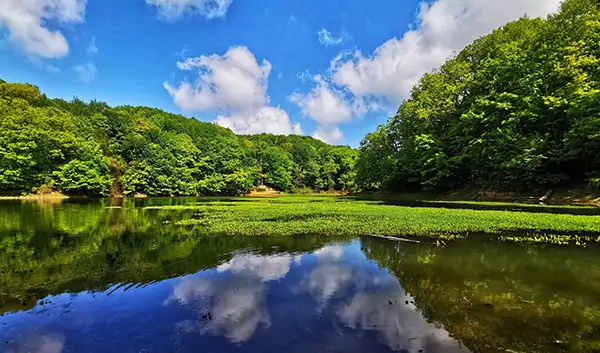 Istanbul Nature Belgrad Forest