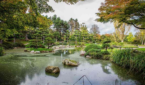 Düsseldorf Natur Hofgarten